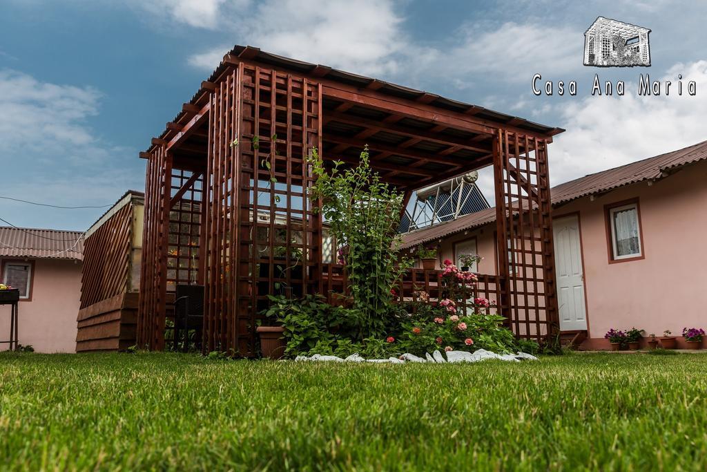 Villa Casa Ana Maria Vama Veche Esterno foto
