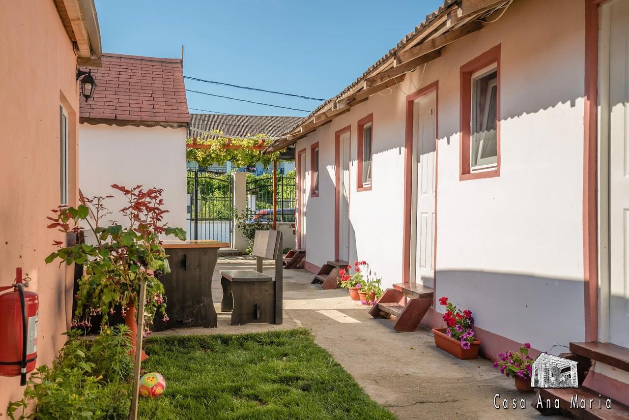 Villa Casa Ana Maria Vama Veche Esterno foto