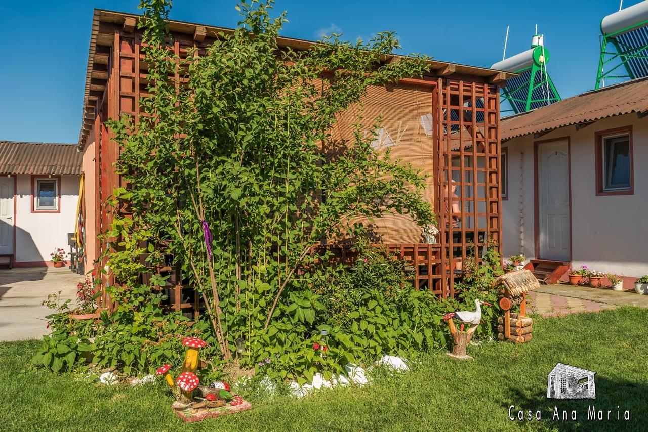Villa Casa Ana Maria Vama Veche Esterno foto